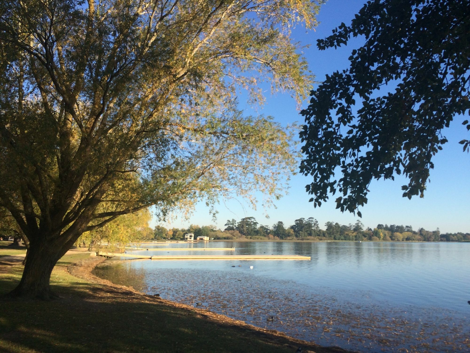 Lake Wendouree Luxury Apartments On Webster Ballarat Eksteriør bilde